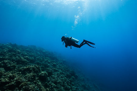 Fun Dive 休閒潛水