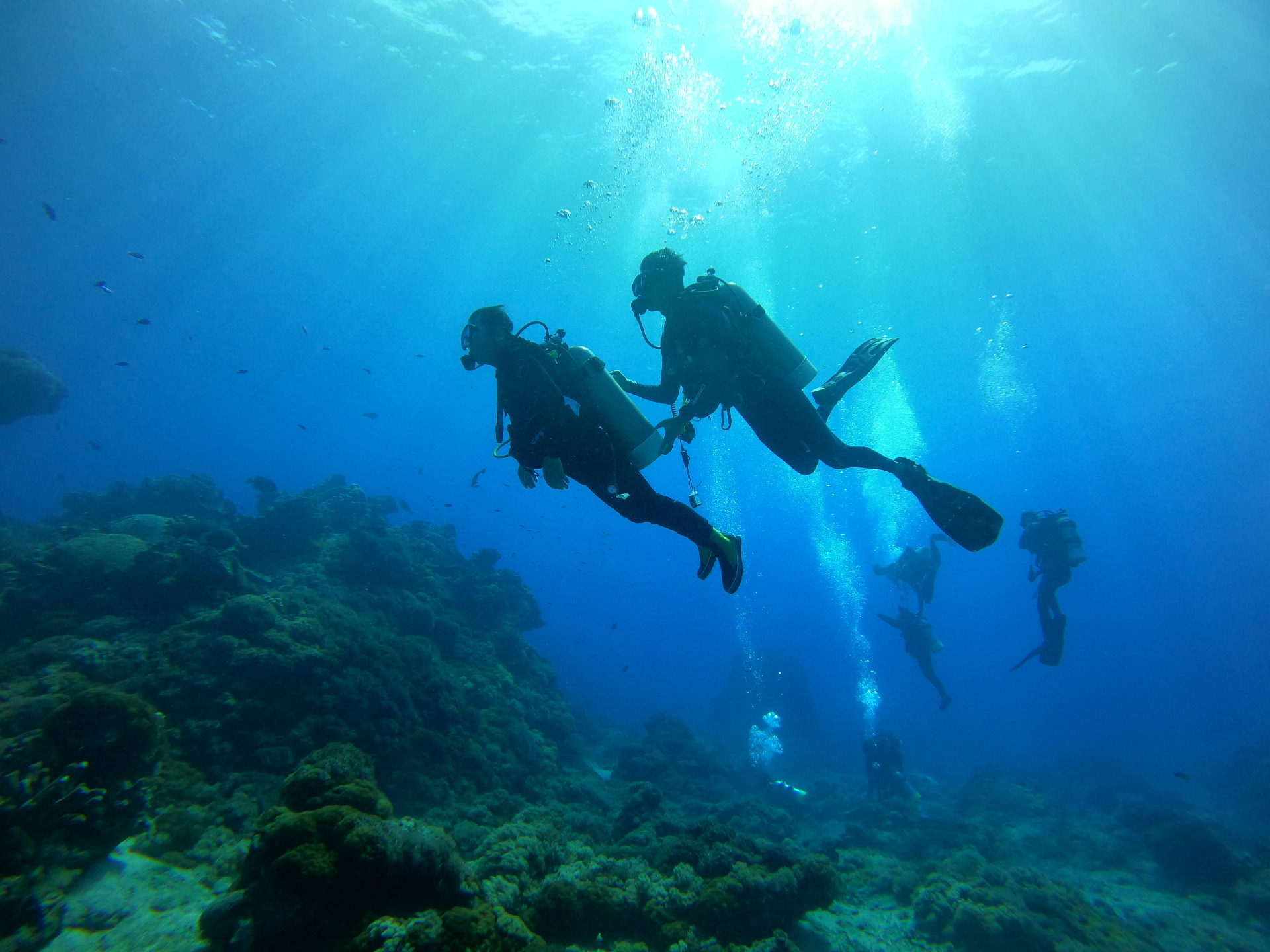 體驗潛水︱Discover Scuba Diving